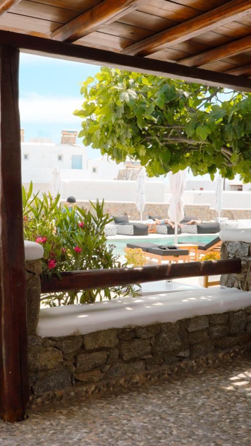 Irene'S Residence Mykonos Town Экстерьер фото