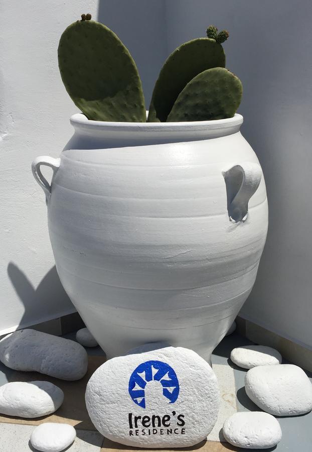 Irene'S Residence Mykonos Town Экстерьер фото